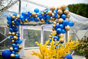 Blue and Gold balloon arch.